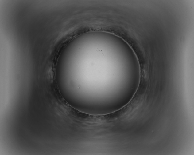 X0000088191493200705221652