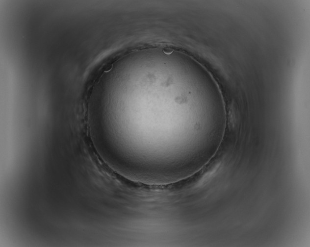 X0000088191494200705221652