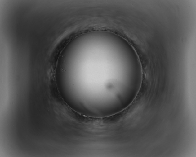 X0000088191495200705221652