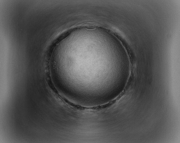 X0000088191496200705221652
