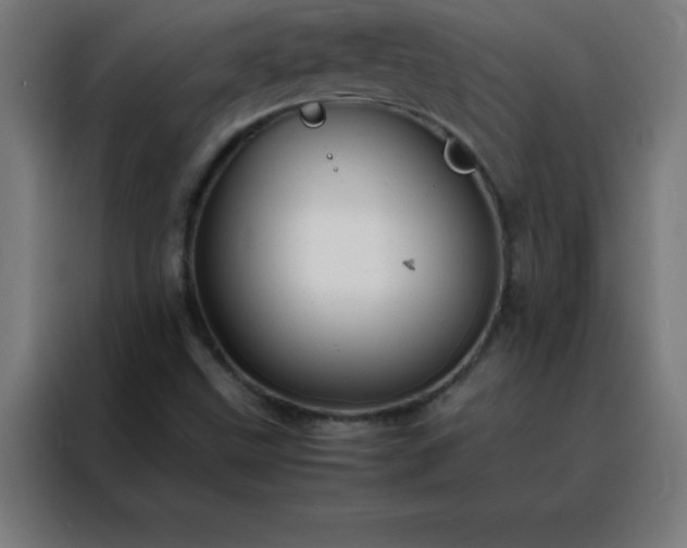 X0000088191499200705221652