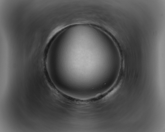 X0000088191501200705221652