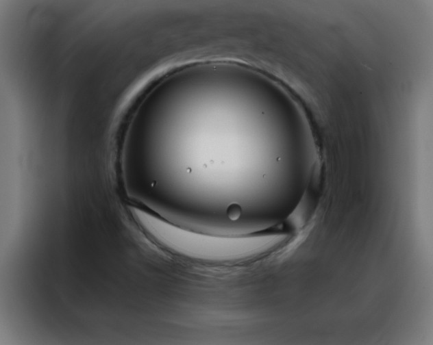X0000088191502200705221652