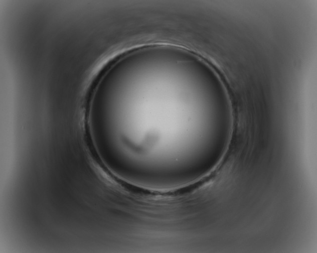 X0000088191503200705221652