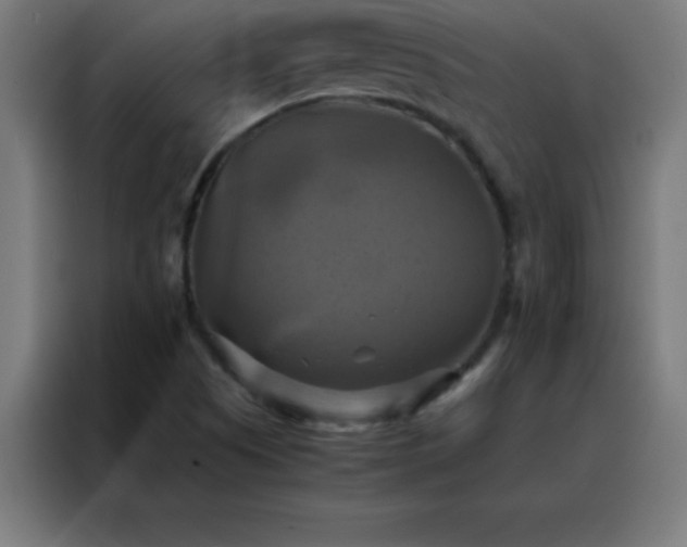 X0000088191505200705221652