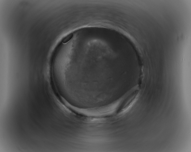 X0000088191506200705221652
