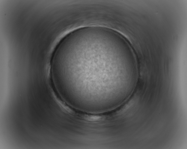 X0000088191507200705221652