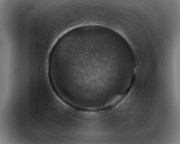 X0000088191508200705221652