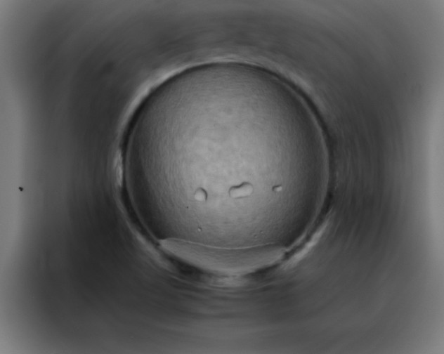 X0000088191509200705221652