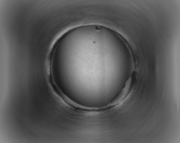 X0000088191510200705221652