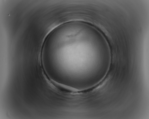 X0000088191513200705221652