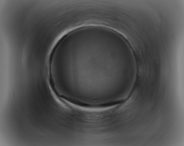 X0000088191515200705221652