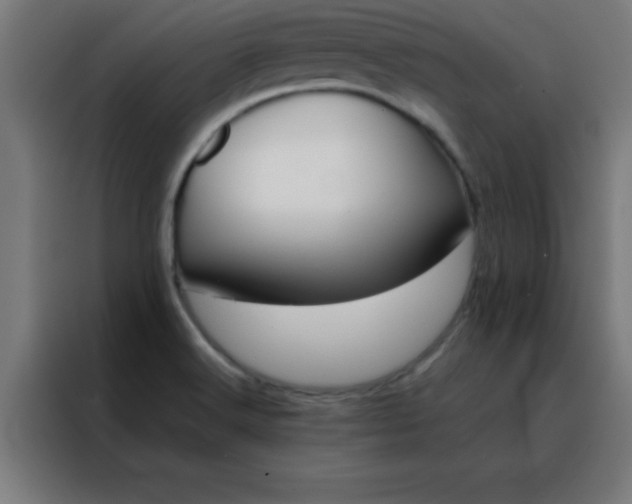 X0000088191516200705221652