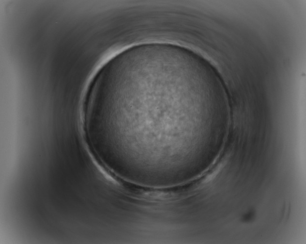 X0000088191517200705221652
