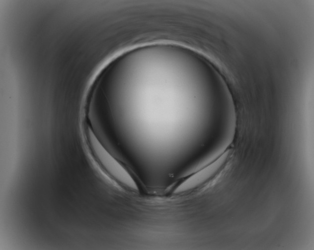 X0000088191518200705221652
