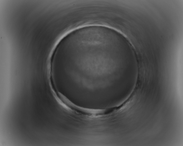 X0000088191519200705221652