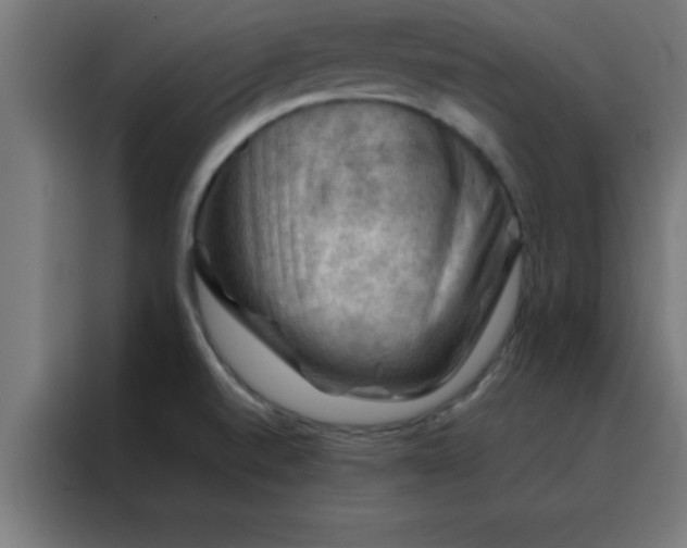 X0000088191520200705221652