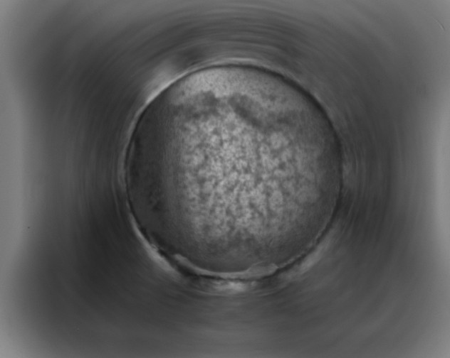 X0000088191521200705221652