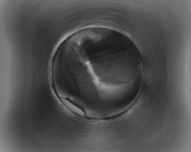 X0000088191522200705221652