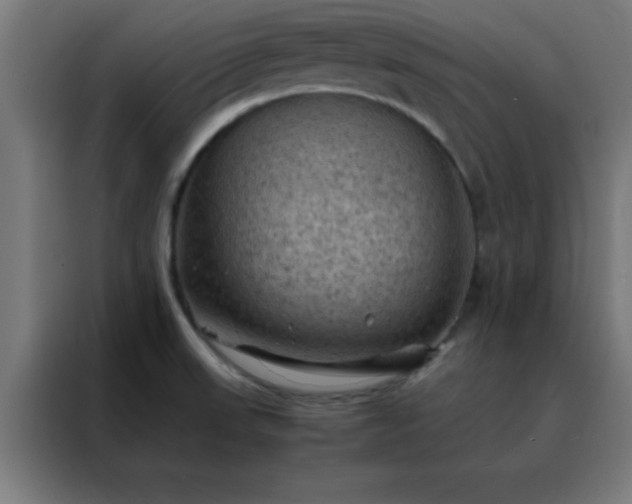 X0000088191523200705221652