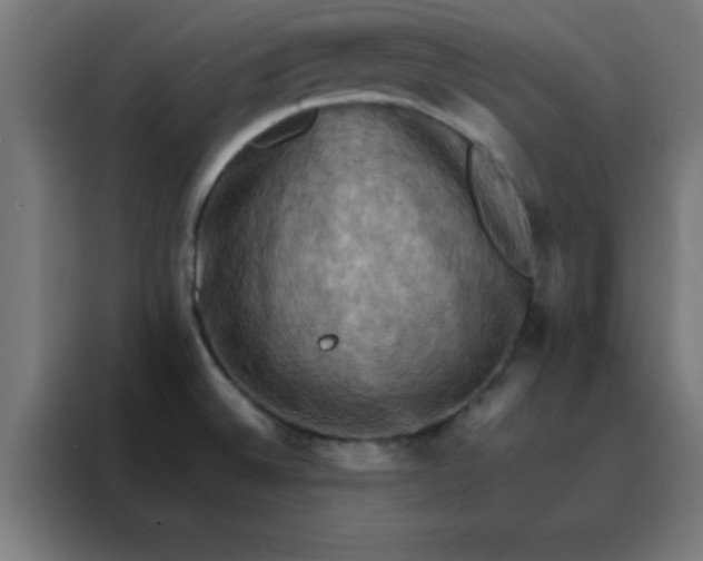 X0000088191524200705221652