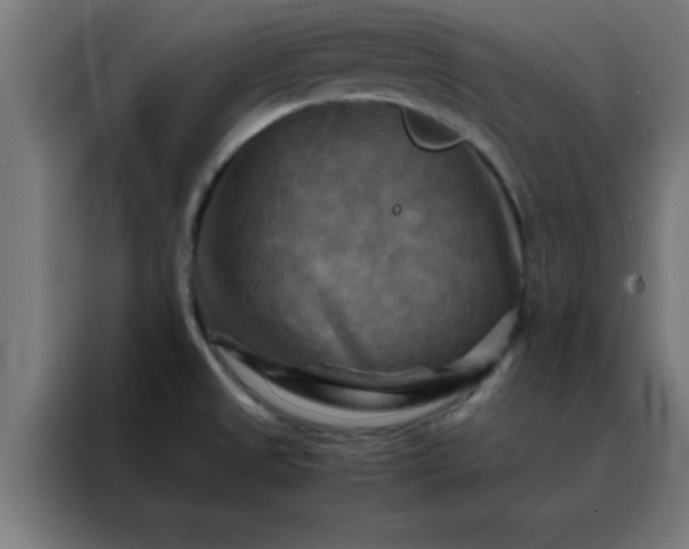 X0000088191525200705221652