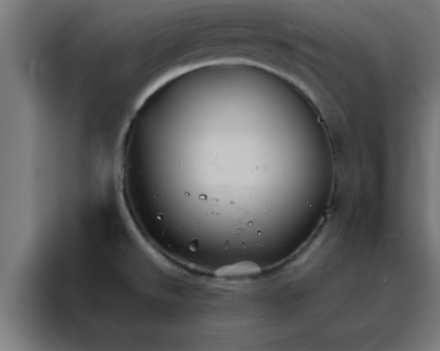 X0000088191526200705221652