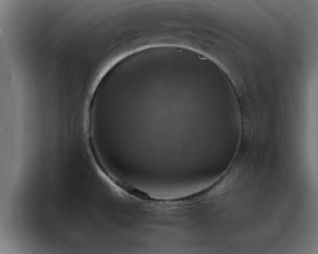X0000088191527200705221652