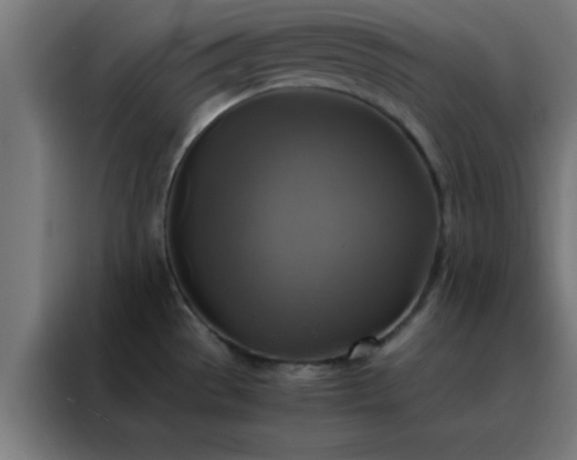 X0000088191529200705221652