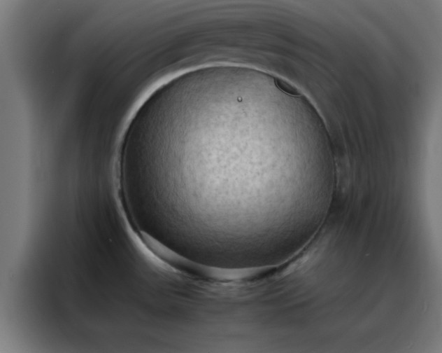X0000088191531200705221652