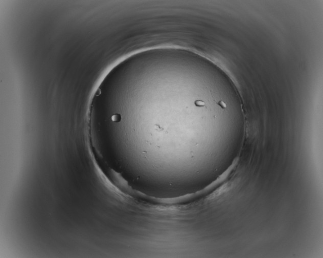 X0000088191532200705221652