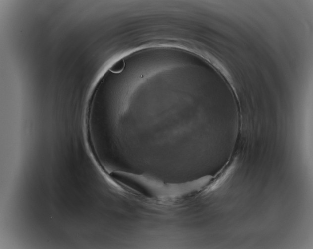 X0000088191533200705221652