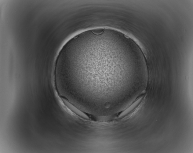 X0000088191534200705221652