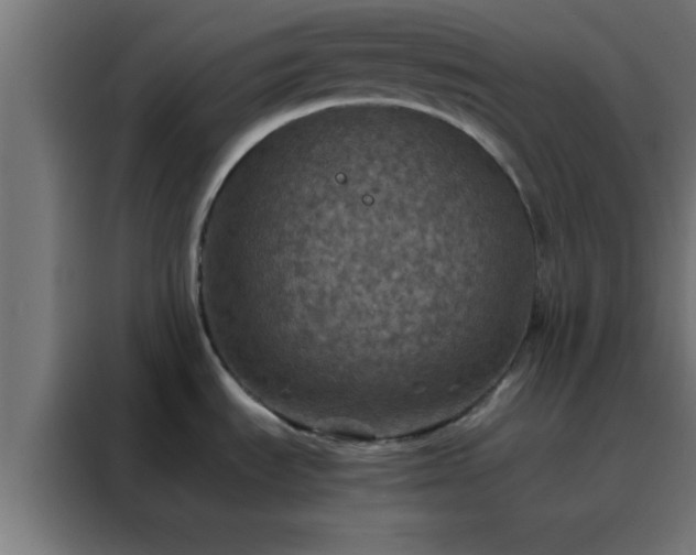 X0000088191535200705221652