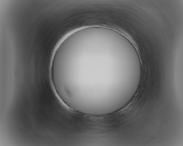 X0000088191536200705221652
