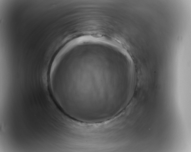 X0000088190002200705292021