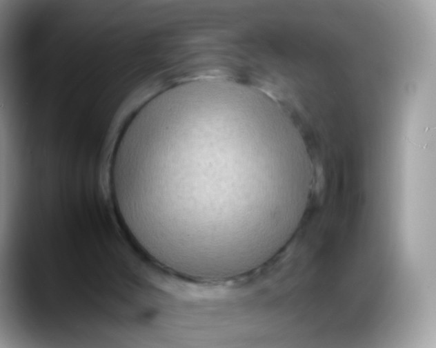 X0000088190004200705292021