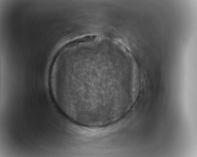 X0000088190006200705292021
