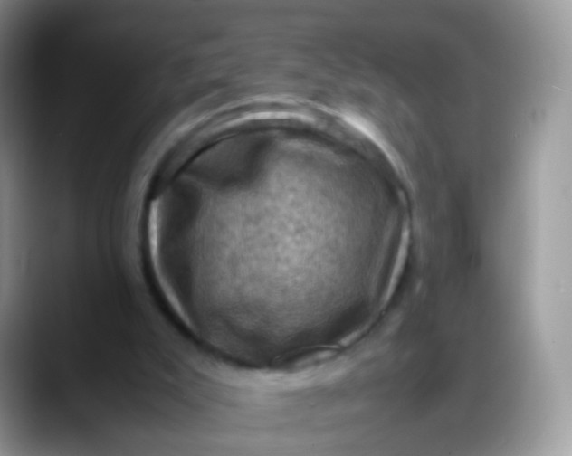 X0000088190007200705292021