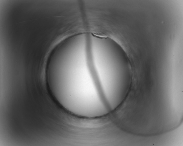 X0000088190008200705292021