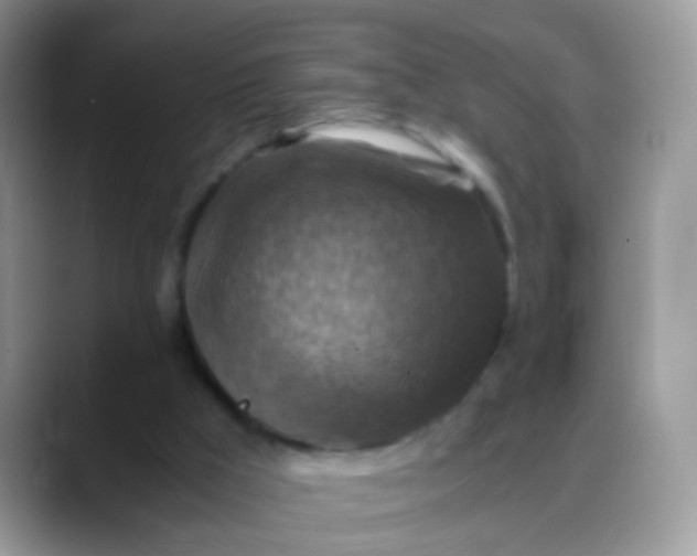 X0000088190009200705292021