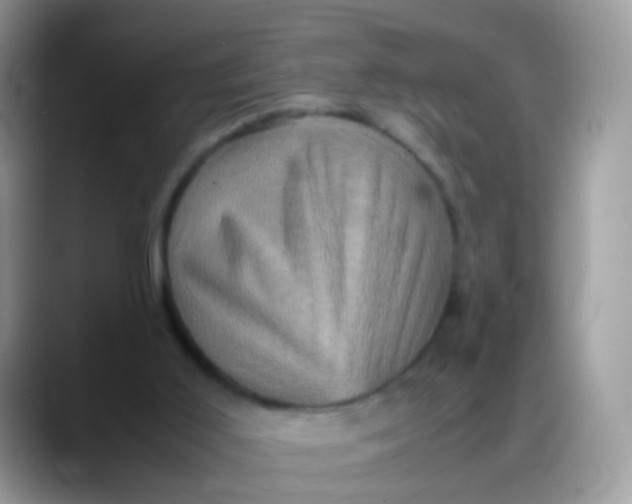 X0000088190011200705292021