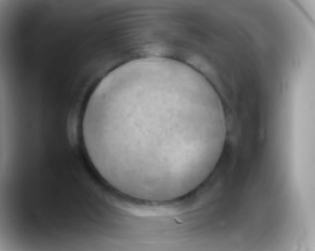 X0000088190012200705292021