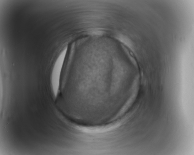 X0000088190013200705292021