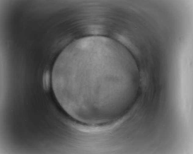 X0000088190014200705292021