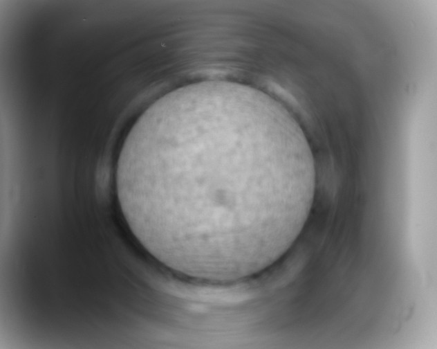X0000088190016200705292021