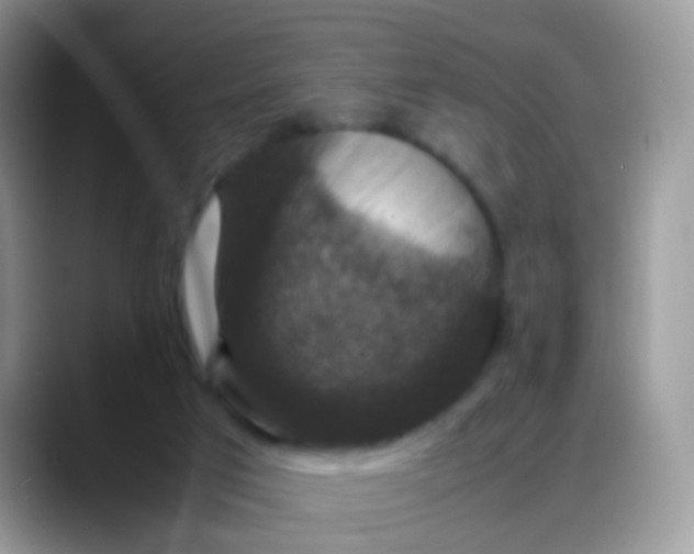 X0000088190017200705292021