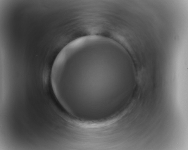 X0000088190018200705292021