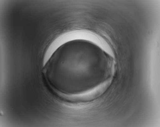 X0000088190019200705292021