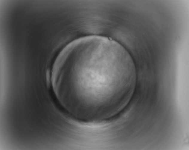X0000088190020200705292021